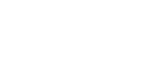 Natural Stone Veneers International Inc Logo